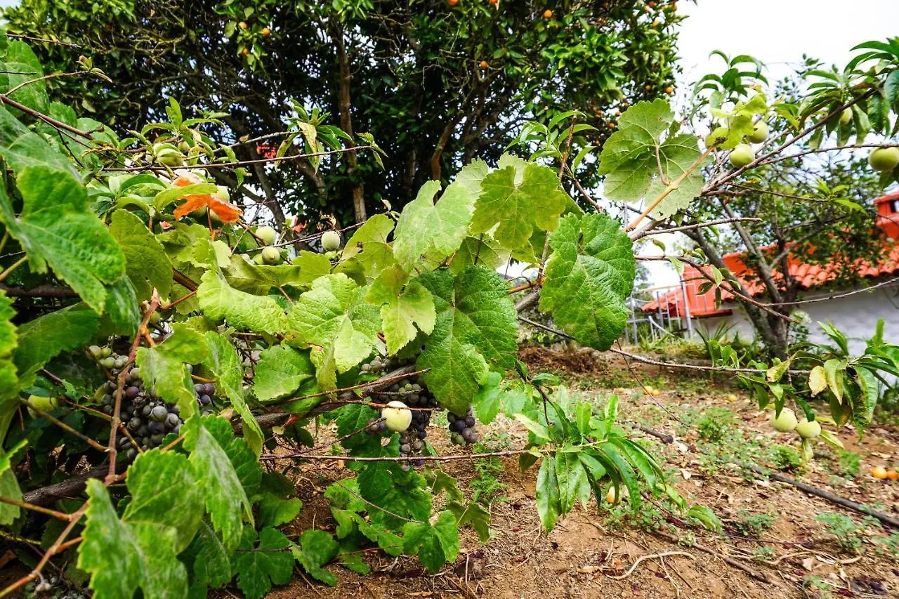 拉奥罗塔瓦Eco House In Unique Environment别墅